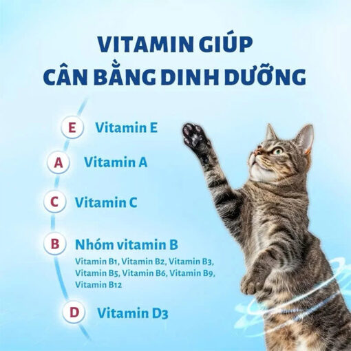 Hạt Mr.vet cho mèo hạt full topping hạt Mr.Vet T1 T2 T3 T4 - Hình ảnh 2