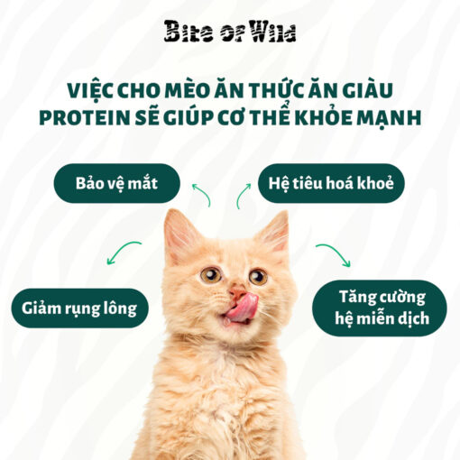 Hạt Cho Mèo Bite of Wild Không Ngũ Cốc Mix Topping - Hình ảnh 7