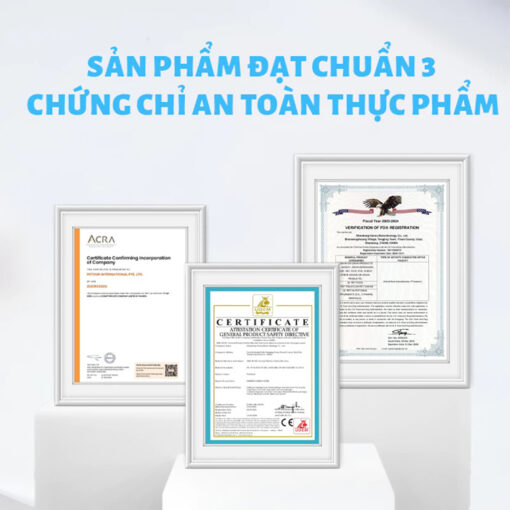 Thức ăn hạt cho mèo MR.VET T2 - Hình ảnh 4