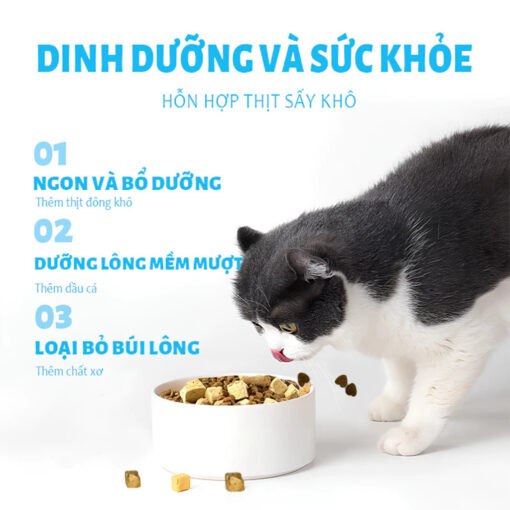 Thức ăn hạt cho mèo MR.VET T2 - Hình ảnh 3