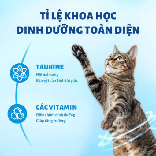 Thức Ăn Hạt MRVET T3 Cho Mèo gói 1kg - Hình ảnh 2