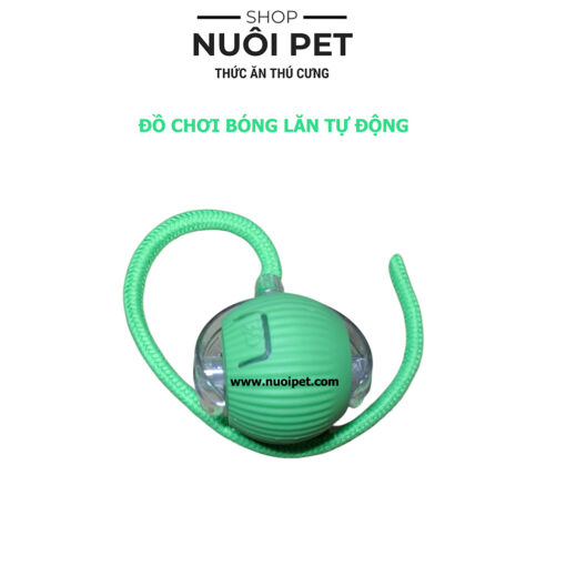 Đồ chơi bóng lăn tự động cho mèo sạc pin giảm stress - Hình ảnh 3