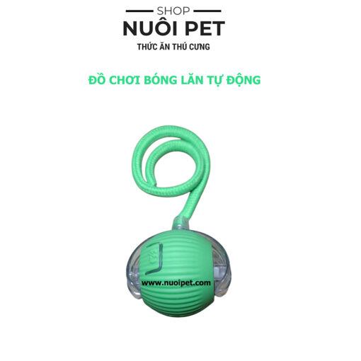Đồ chơi bóng lăn tự động cho mèo sạc pin giảm stress - Hình ảnh 2