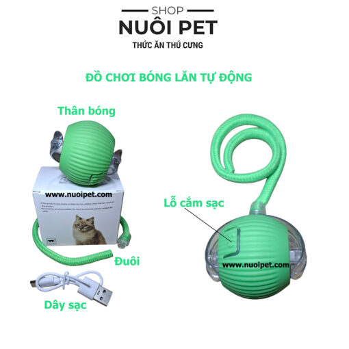 Đồ chơi bóng lăn tự động cho mèo sạc pin giảm stress