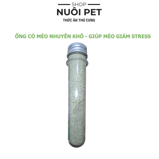 Cỏ mèo bạc hà khô Catnip giúp mèo giảm stress tiêu búi lông - Hình ảnh 3