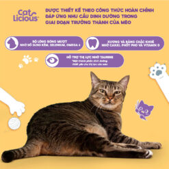 Hạt Catlicious cho mèo trưởng thành Vị Cá Biển 26% Protein, Hạt cho mèo Catlicious - Nuôi Pet Shop