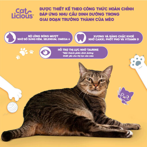 Hạt Catlicious cho mèo trưởng thành Vị Cá Biển 26% Protein, Hạt cho mèo Catlicious - Nuôi Pet Shop