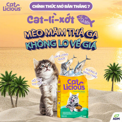 Hạt Catlicious cho mèo trưởng thành Vị Cá Biển 26% Protein - Ảnh 2