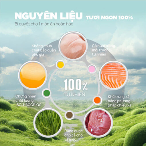 Thức ăn đông khô cho chó mèo PetQ viên gà sấy - Ảnh 3