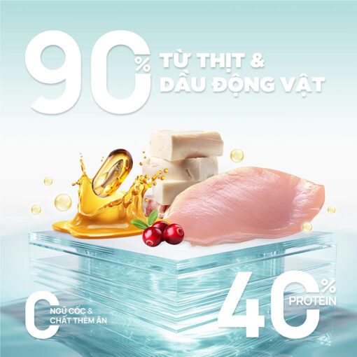 Hạt cho mèo PetQ Churro C90 & C90K - Ảnh 5