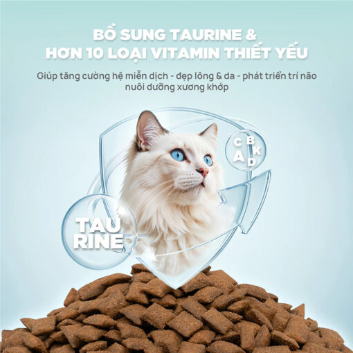 Hạt cho mèo PetQ Churro C90 & C90K - Ảnh 3