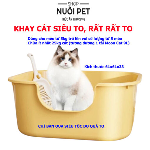 Khay cát mèo siêu to mẫu mới 61x61x33cm - Ảnh 3