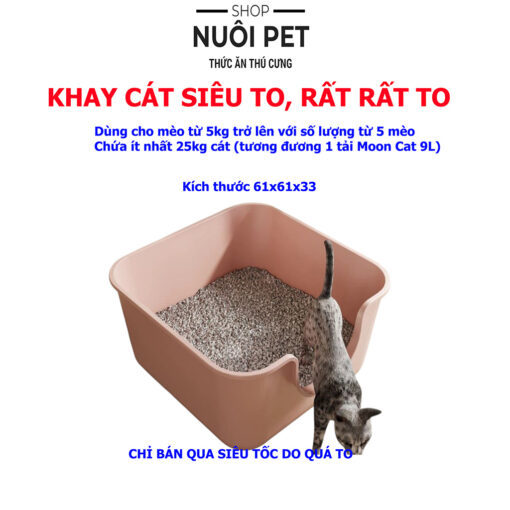 Khay cát mèo siêu to mẫu mới 61x61x33cm - Ảnh 5