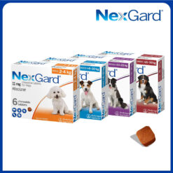 NexGard Viên nhai phòng và trị ve ghẻ bọ chét cho chó