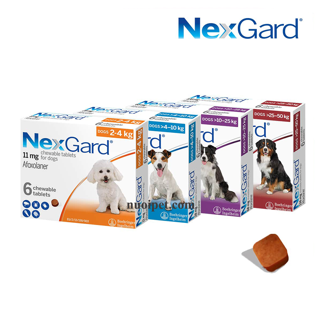 NexGard Viên nhai phòng và trị ve ghẻ bọ chét cho chó